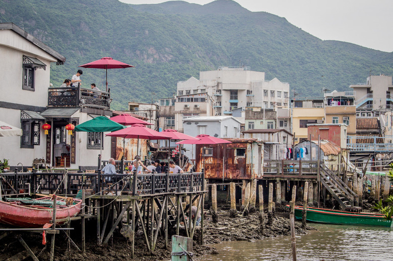 홍콩 타이오 마을, 핑크 돌고래가 사