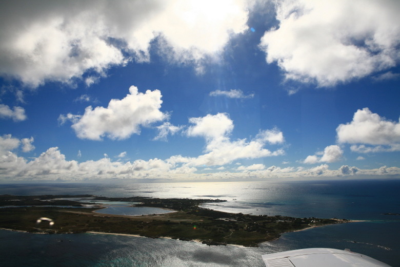 ‘여유만만’ 서호주 로트네스트섬 여행