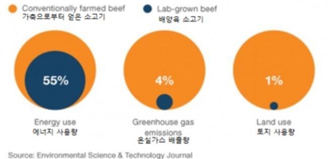 가축으로부터 얻은 소고기와 배양육 소고기의 환경에 대한 영향 비교/BBC