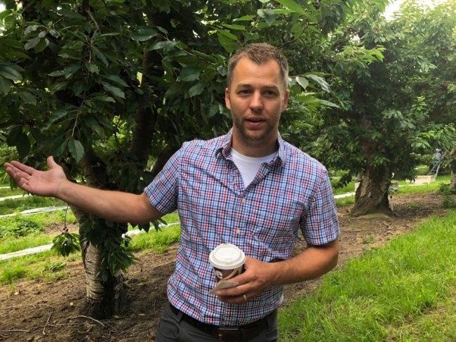 윈디포인트의 농장주 제임스 포먼 씨는 “6월 중순 체리 수확을 시작하는데, 본격적인 수확 시즌인 7월이 되면 더욱 바빠진다”고 말했다.