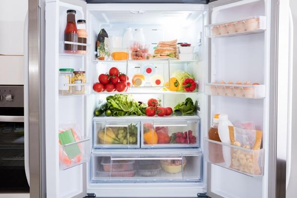 여름철 음식보관,  냉장 vs 냉장도