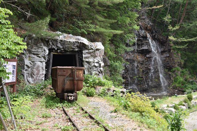 석탄트럭 멈춘 지 30년… 초록숲 하