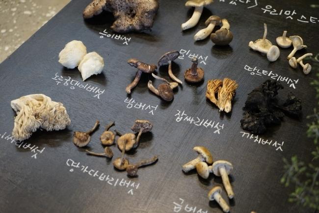샘표 우리맛 연구팀이 전국 각지의 재래시장에서 수집하고 조사한 야생버섯들. [사진=샘표]