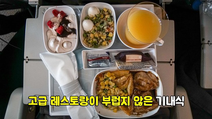 맛있다고 소문난 항공사별 특별 메뉴는