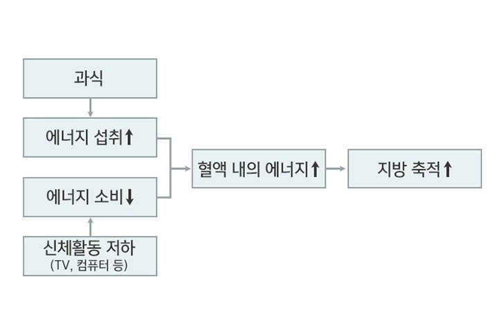 연예인 '1일 1식'을 아무리 따라 