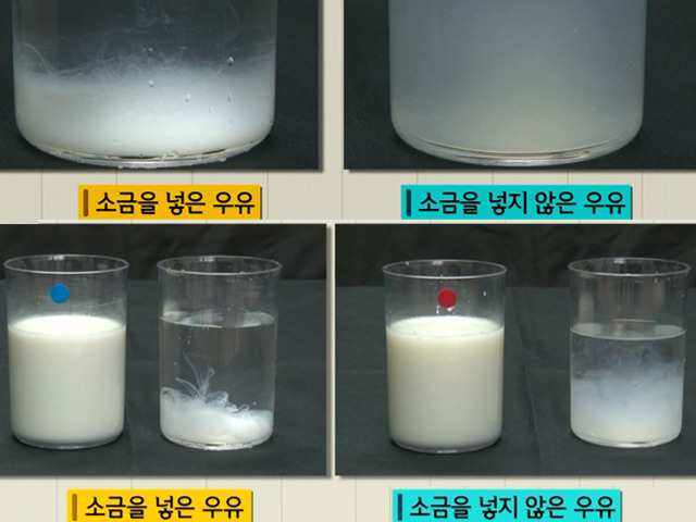 생생정보에서 알려준 신선도 3배 높이