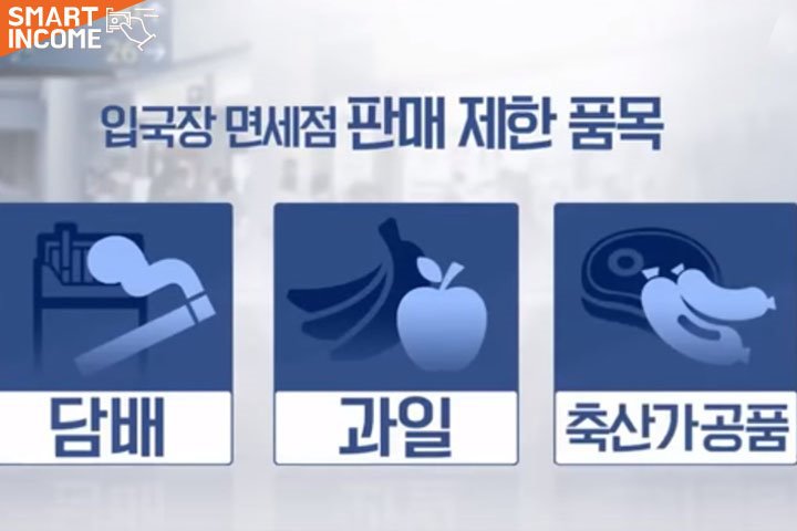 여행족들이 2019년을 손꼽아 기다렸