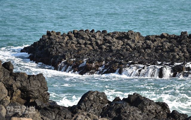 바위 기둥 하나하나가 작품…경주바다 