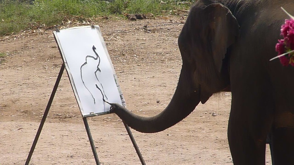 코끼리가 그린 코끼리