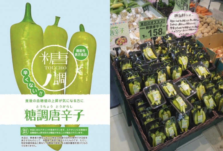 일본에서 기능성 표시 식품으로 등록된 한국의 당조고추(좌) [사진=aT]