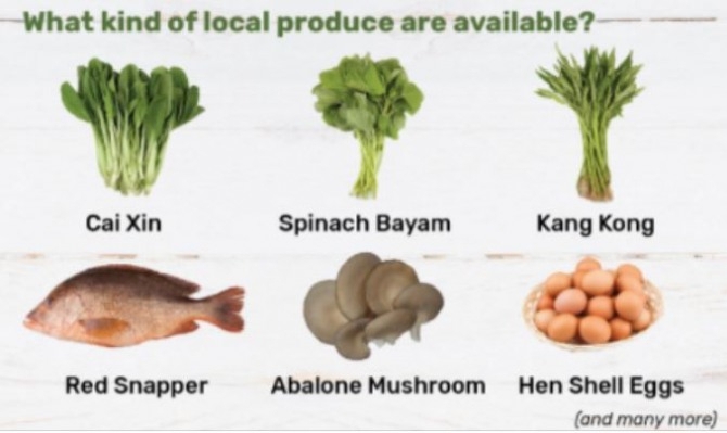 현지 자체 생산중인 주요 식품