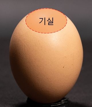 사진=농촌진흥청 제공