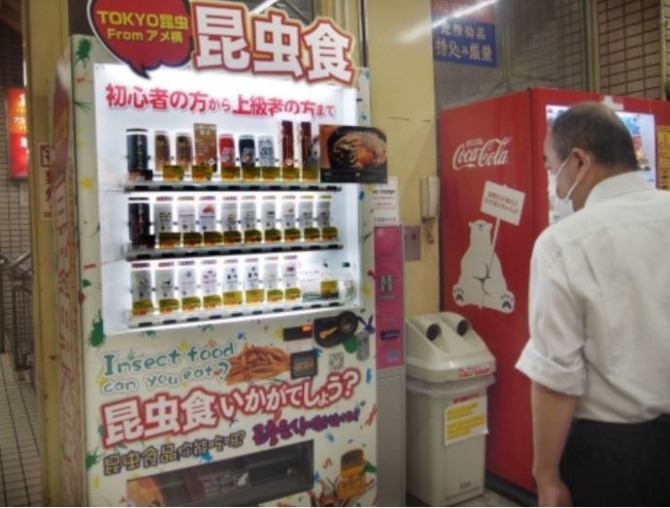 식용 곤충 자판기
