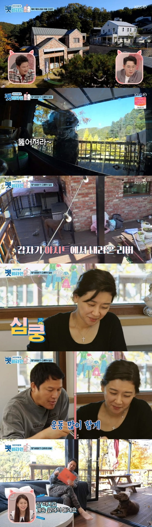 텐아시아