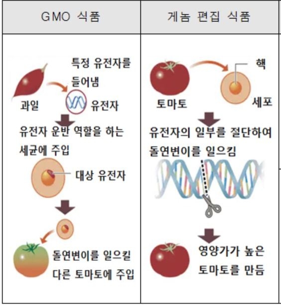 GMO와 게놈 편집 식품과의 차이 [출처: 코트라]