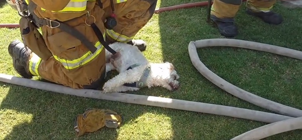 Facebook@Bakersfield Fire Department