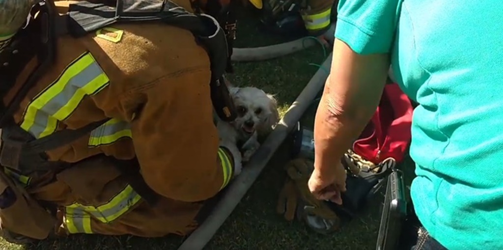 Facebook@Bakersfield Fire Department