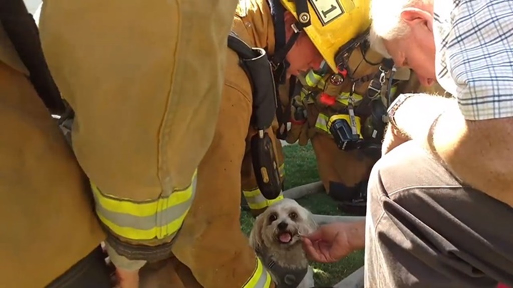 Facebook@Bakersfield Fire Department