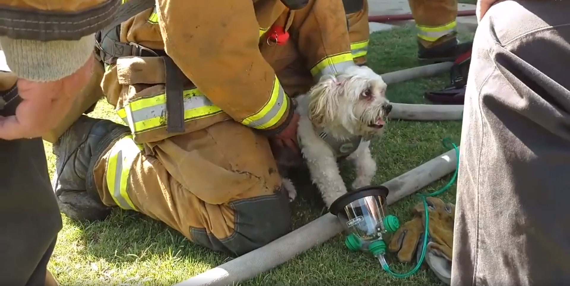 facebook@Bakersfield Fire Department