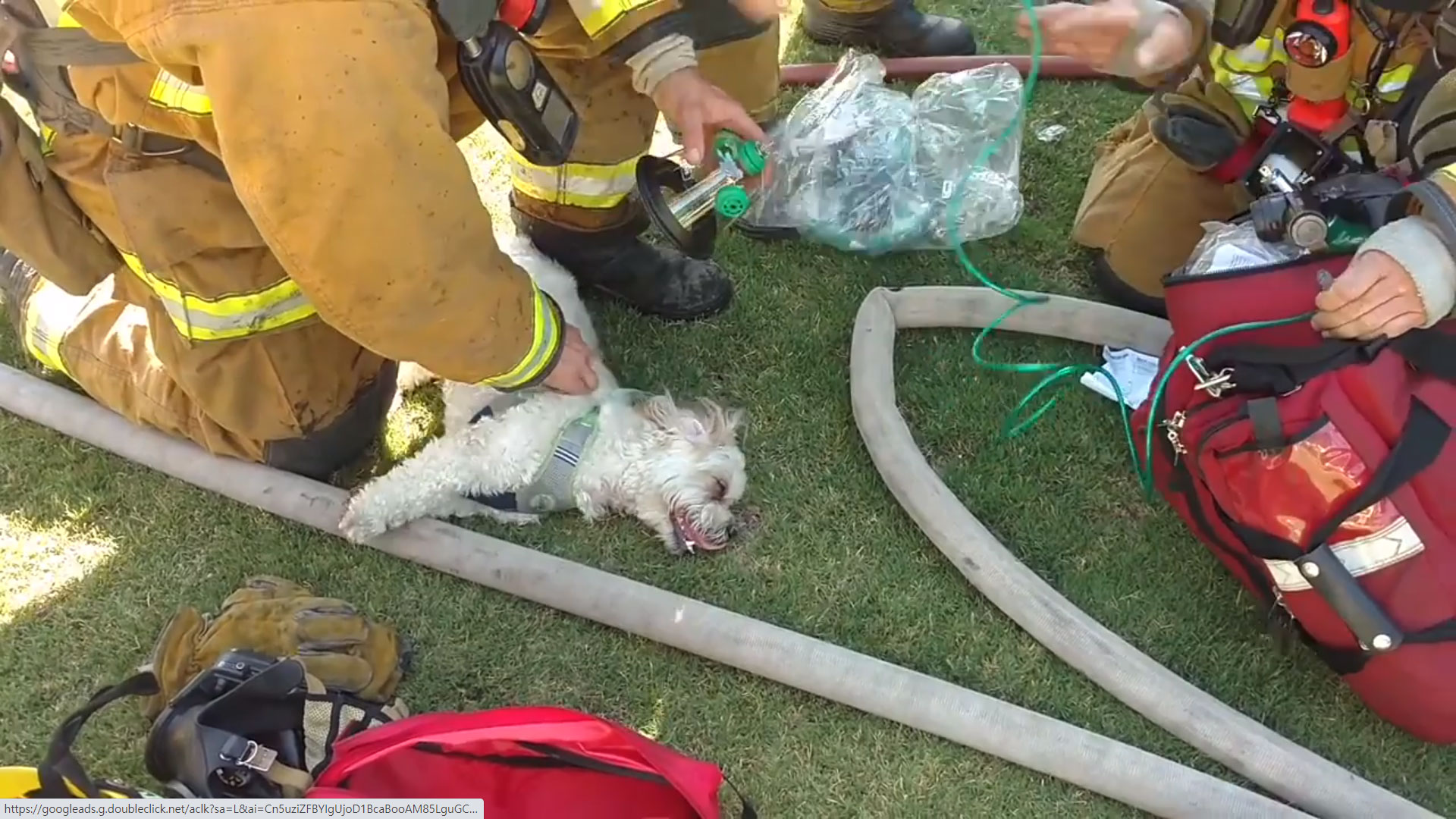 facebook@Bakersfield Fire Department