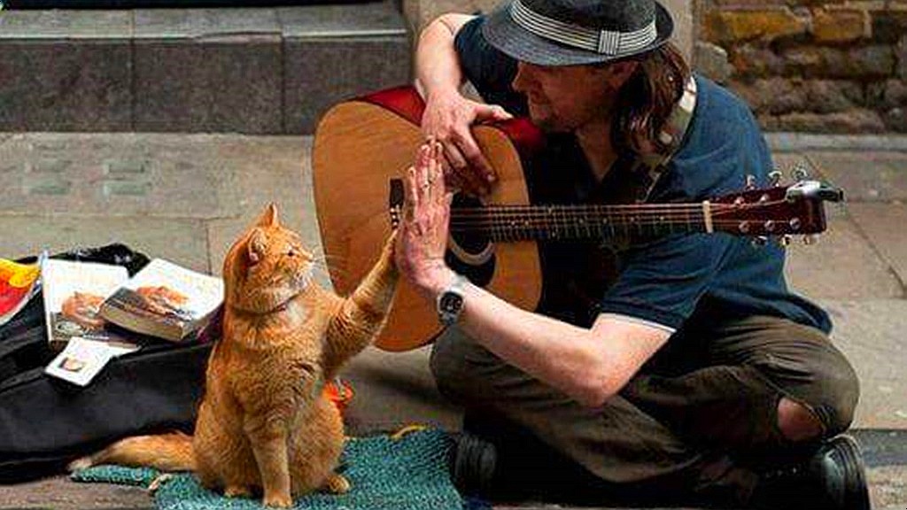 Instagram@streetcatnamedbob