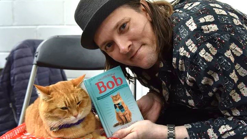 Instagram@streetcatnamedbob