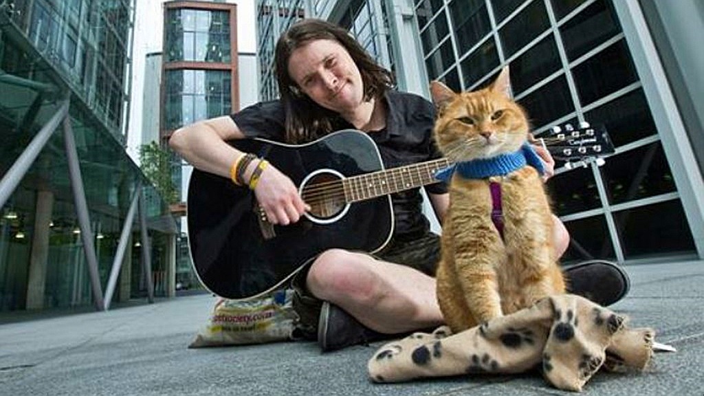 Instagram@streetcatnamedbob