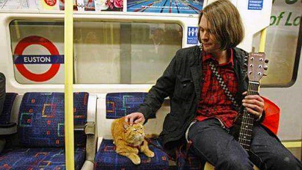 Instagram@streetcatnamedbob