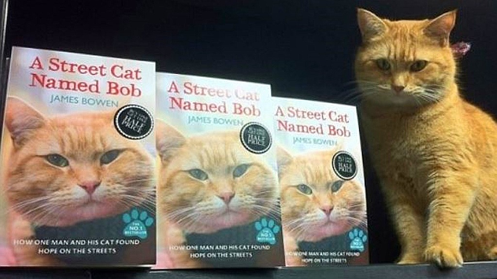 Instagram@streetcatnamedbob