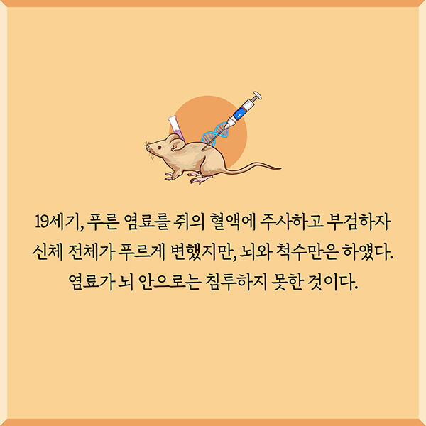 출처: 책식주의