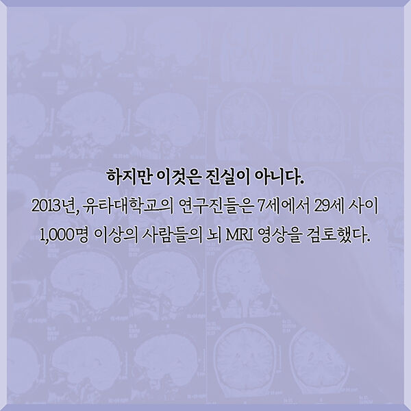 출처: 책식주의
