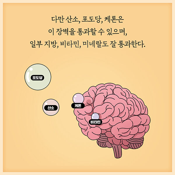 출처: 책식주의