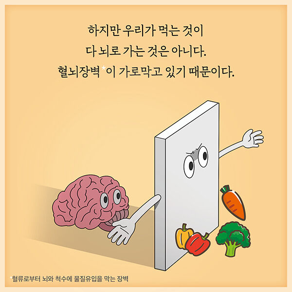 출처: 책식주의