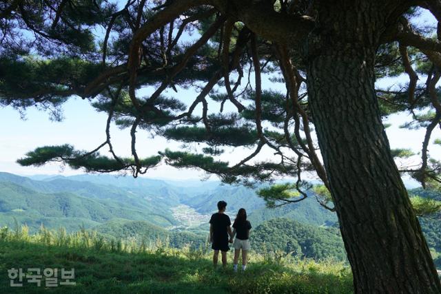한국일보