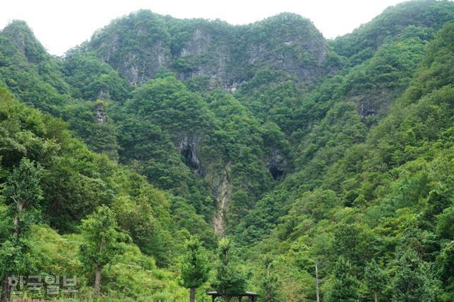 한국일보