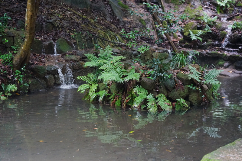 다산은 뒷산의 물을 끌어들여 인공연못까지 만들었다