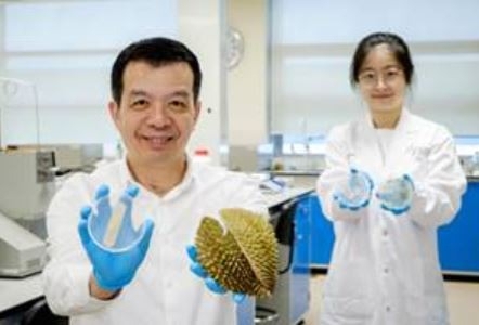 NTU 연구팀 및 두리안 껍질로 만든 향균 겔형 붕대(싱가포르 난양공과대학)