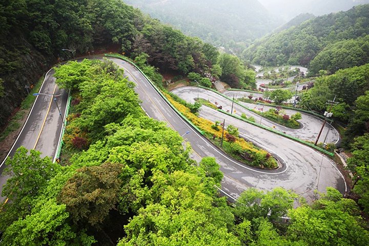 출처 : 한국일보