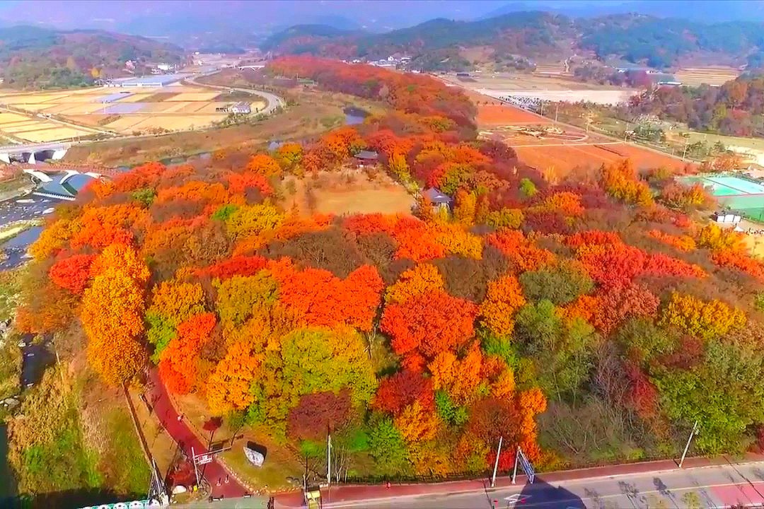 출처 : KBS창원