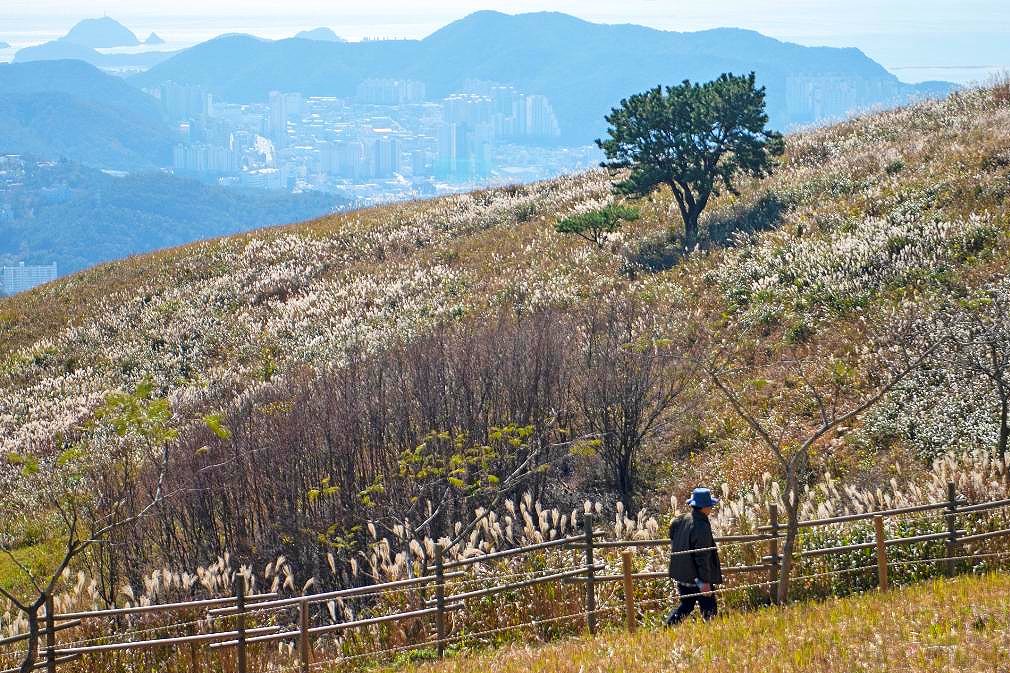 출처 : 비짓부산