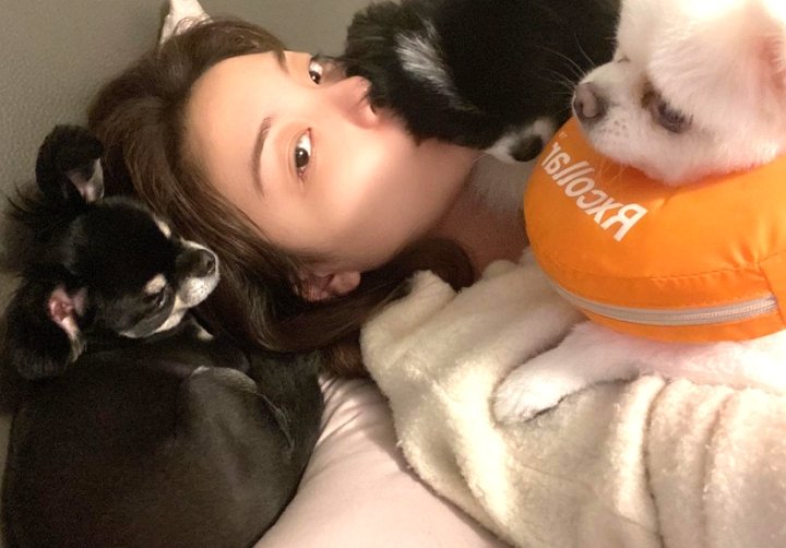 출처 : Instagram@aileeonline