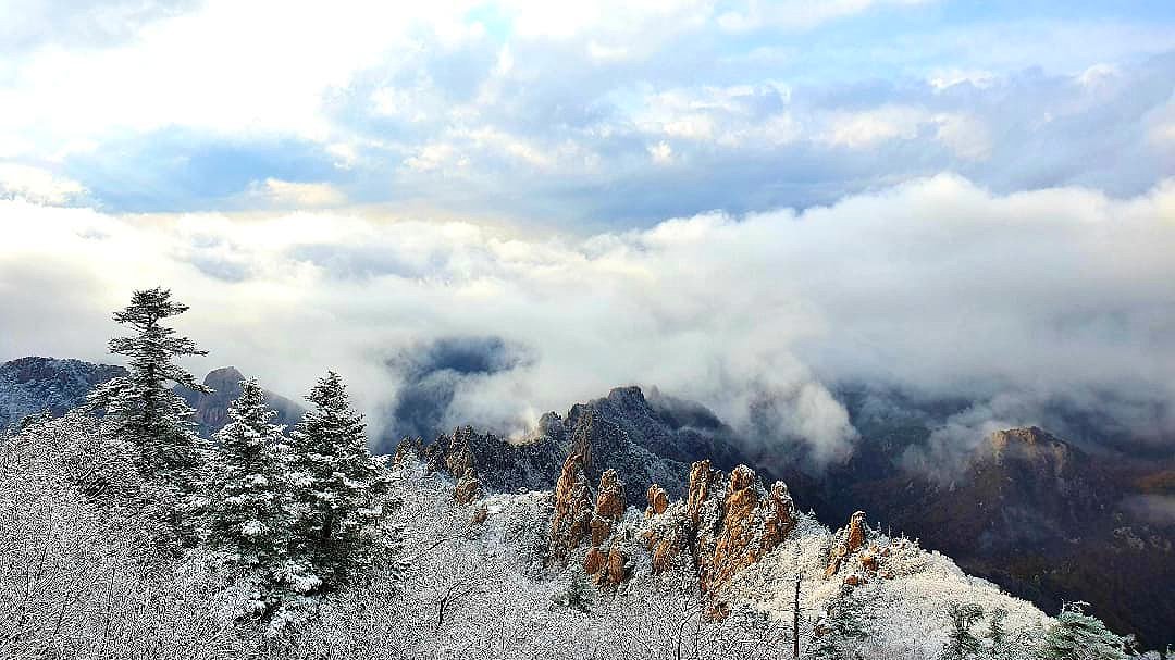 출처 : 설악산국립공원 인스타그램