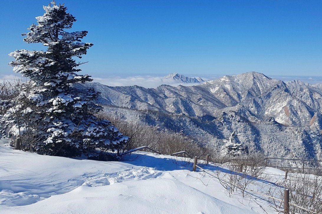 출처 : 뉴스1