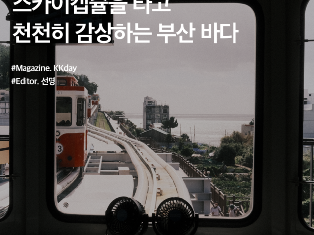 블루라인 :: ZUM 허브