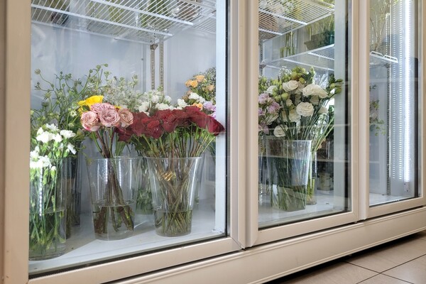 ◇ 냉장고에 꽃을 보관하면 화사하게 펼쳐진 꽃잎을 더 오래 볼 수 있다.   /출처=셔터스톡
