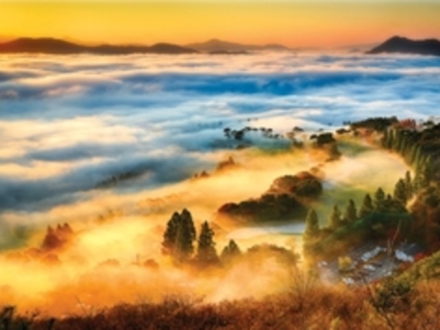 조선왕가 | 검색결과 - ZUM 허브