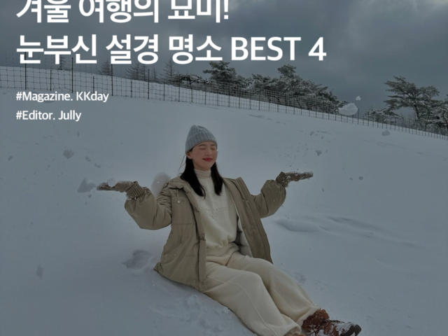 개인텐트 :: ZUM 허브