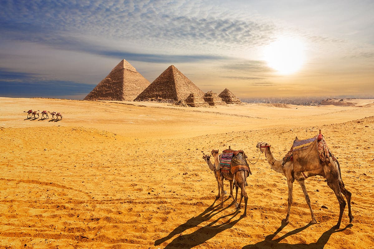 카이로 피라미드 풍경 