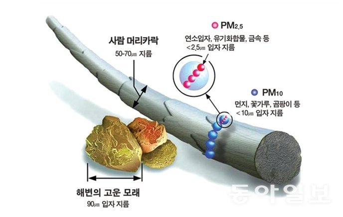 머리카락과 꽃가루, 초미세먼지 등 크기 구분 / 출처=환경부