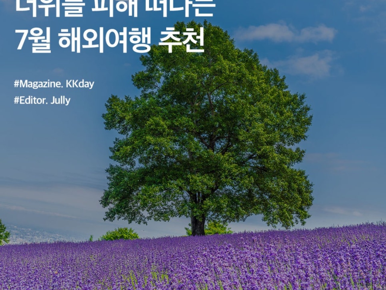 보라빛밤 | 검색결과 - ZUM 허브